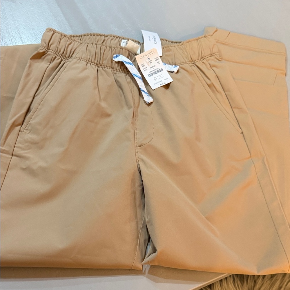 Crewcuts Brown Jogger Pants with Blue Accents